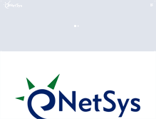 Tablet Screenshot of netsys.aero